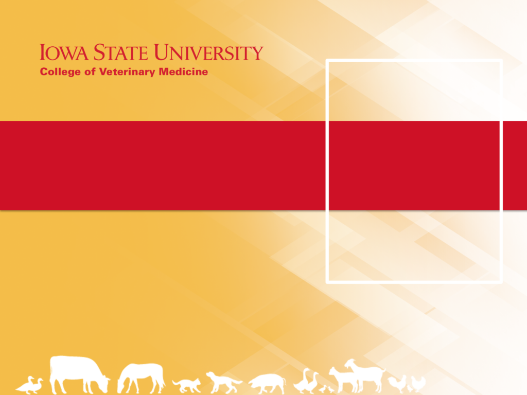 PowerPoint Templates • ISU Vet Med Office of Curricular Assessment and